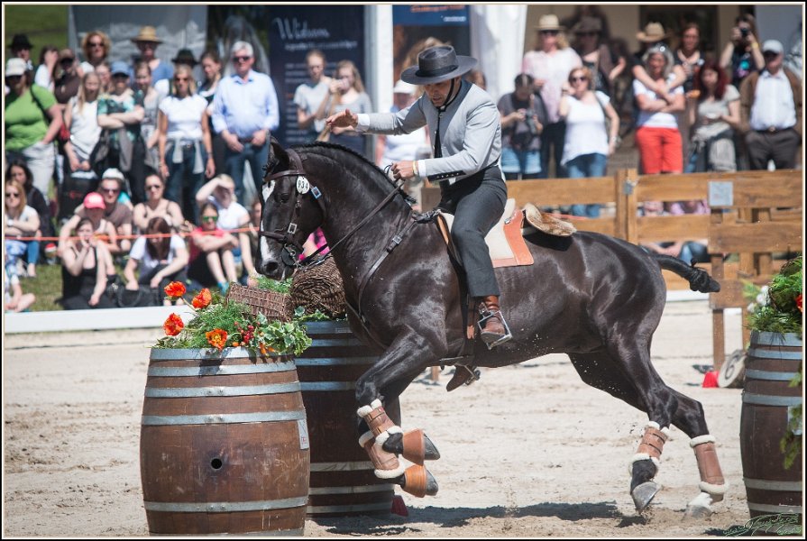 Pferd International 092
